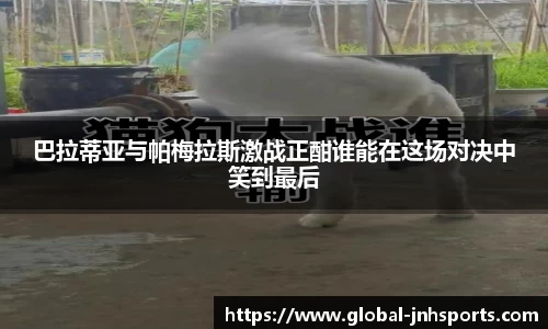 巴拉蒂亚与帕梅拉斯激战正酣谁能在这场对决中笑到最后